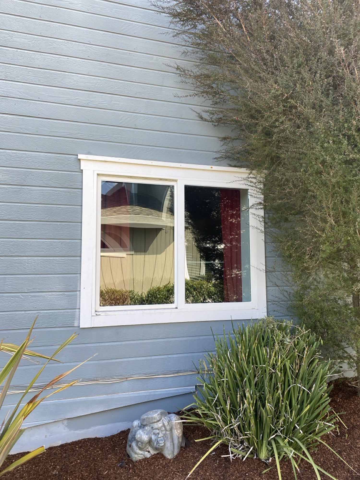 The Best Window Film Installation Team for Novato, CA Homes